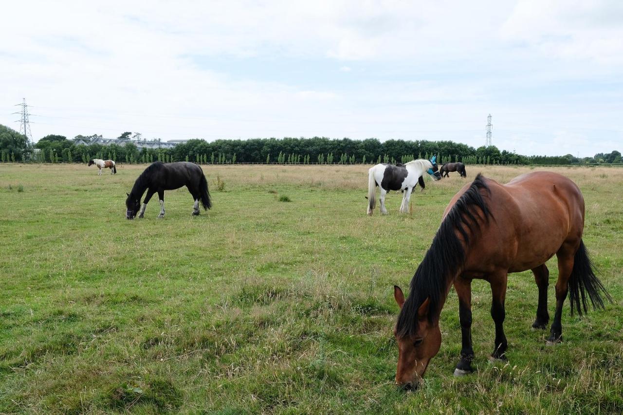 Willowbrook Riding Centre チチェスター エクステリア 写真