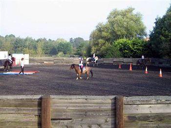 Willowbrook Riding Centre チチェスター エクステリア 写真